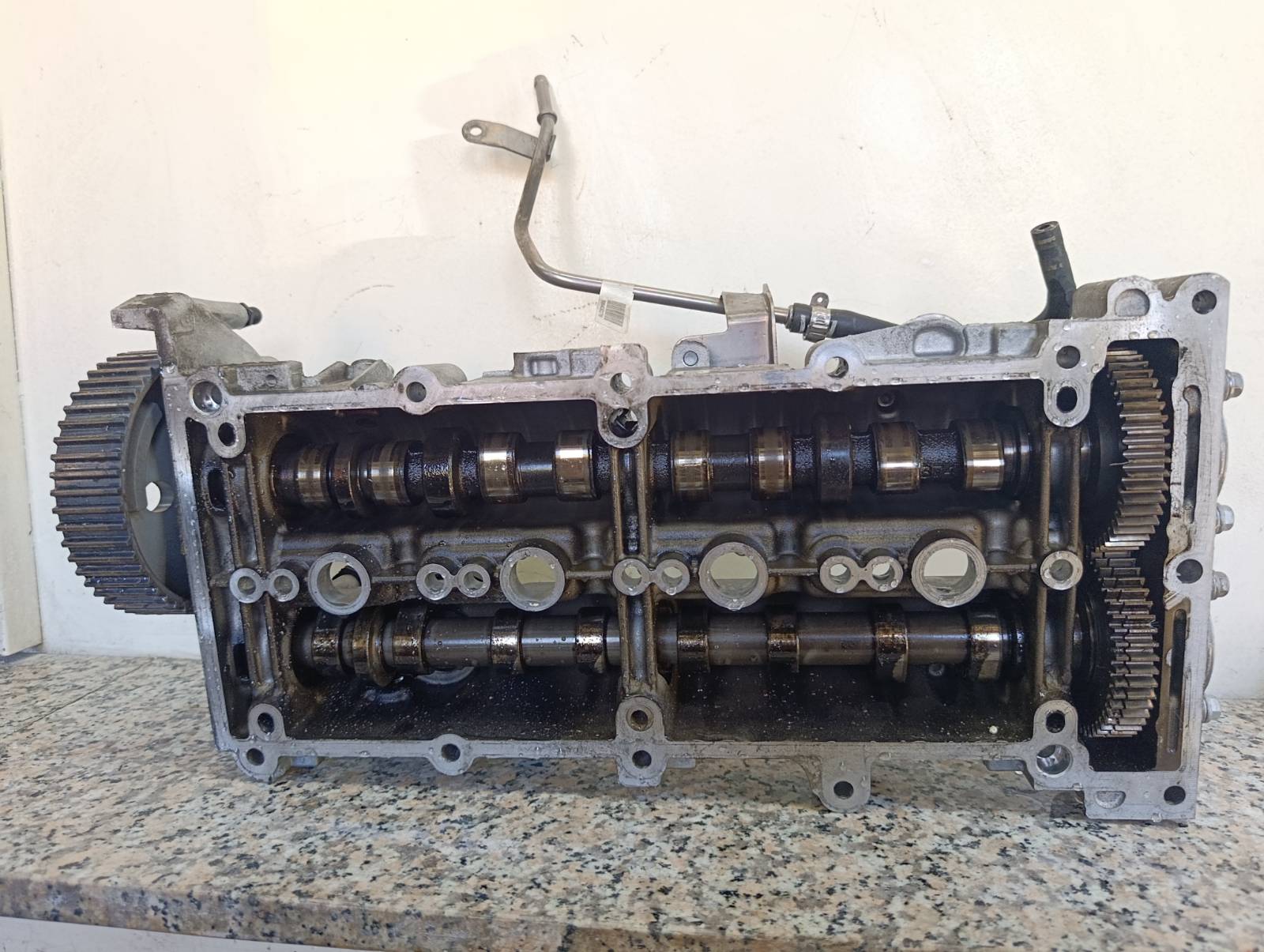 Miniatura 12