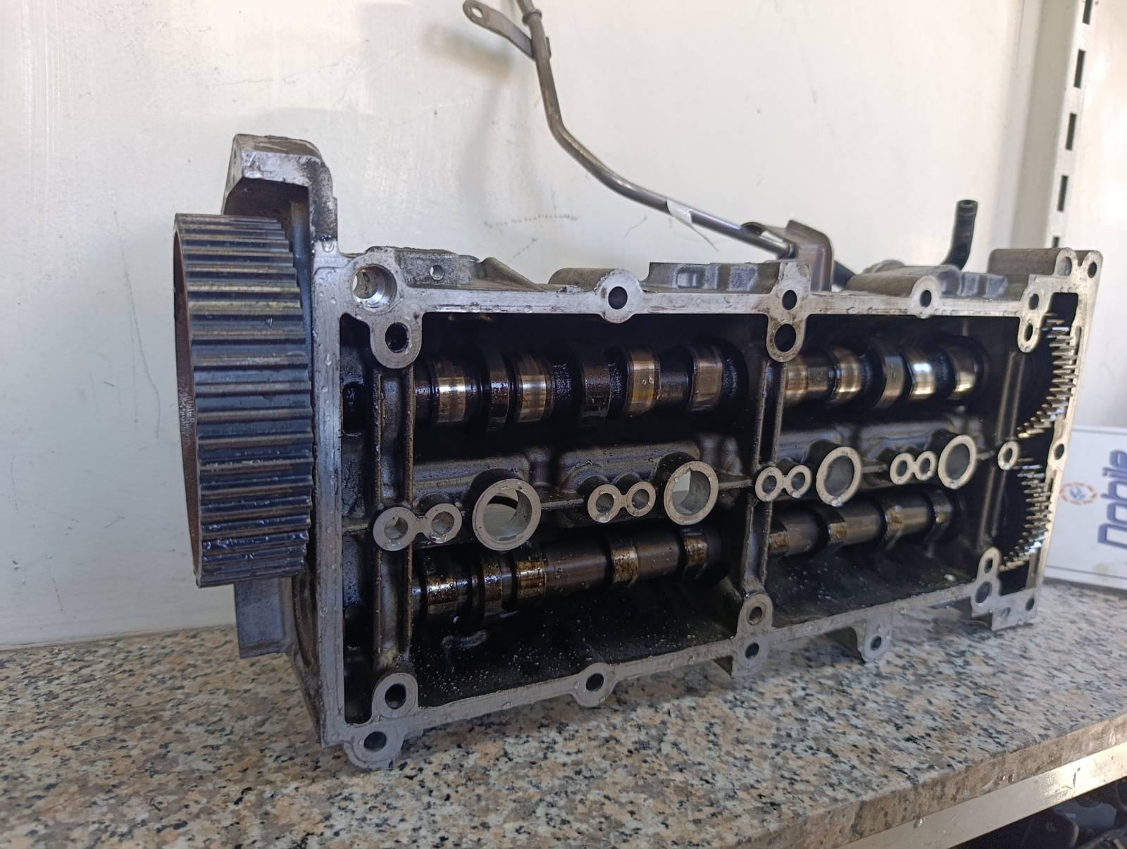 Miniatura 14