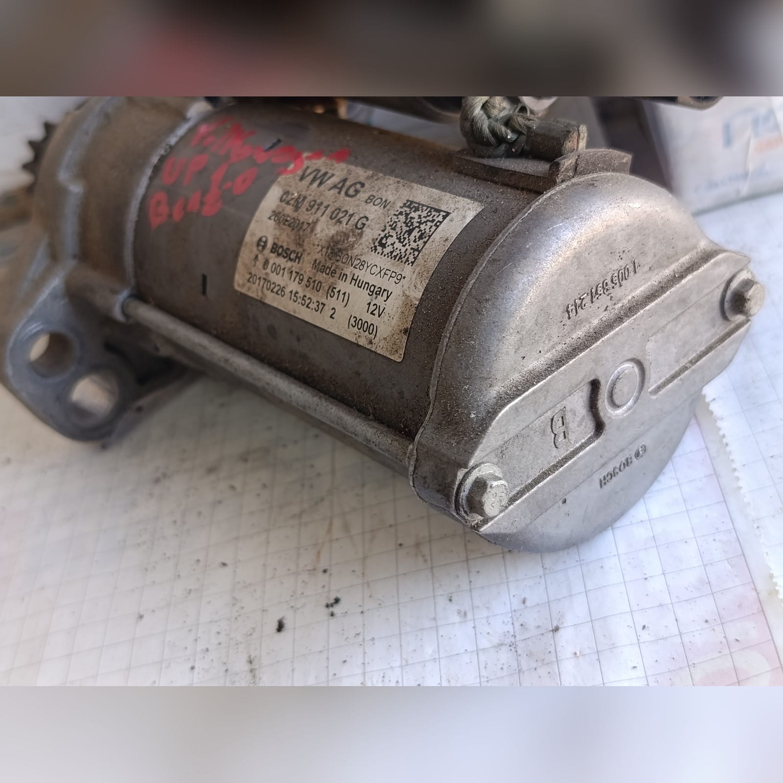 Miniatura 12