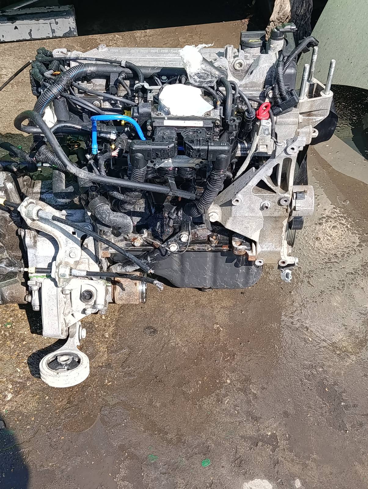 Miniatura 7