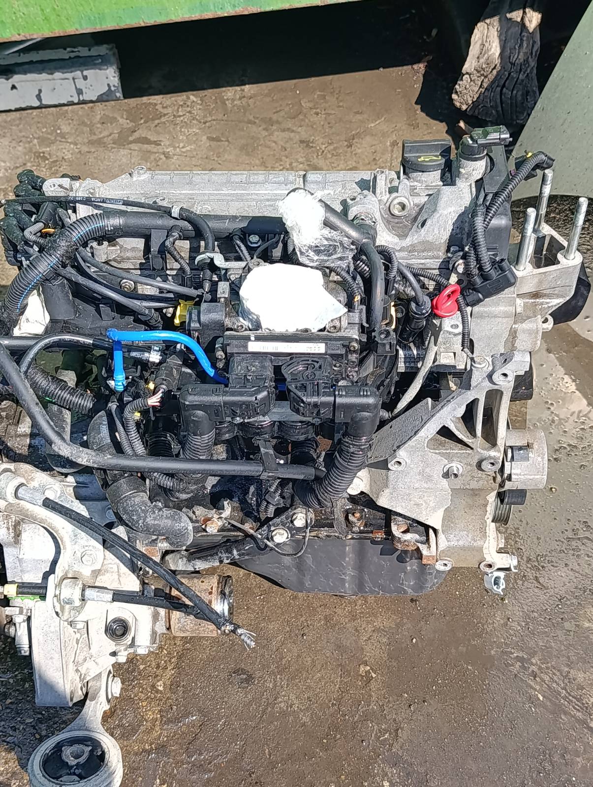 Miniatura 8