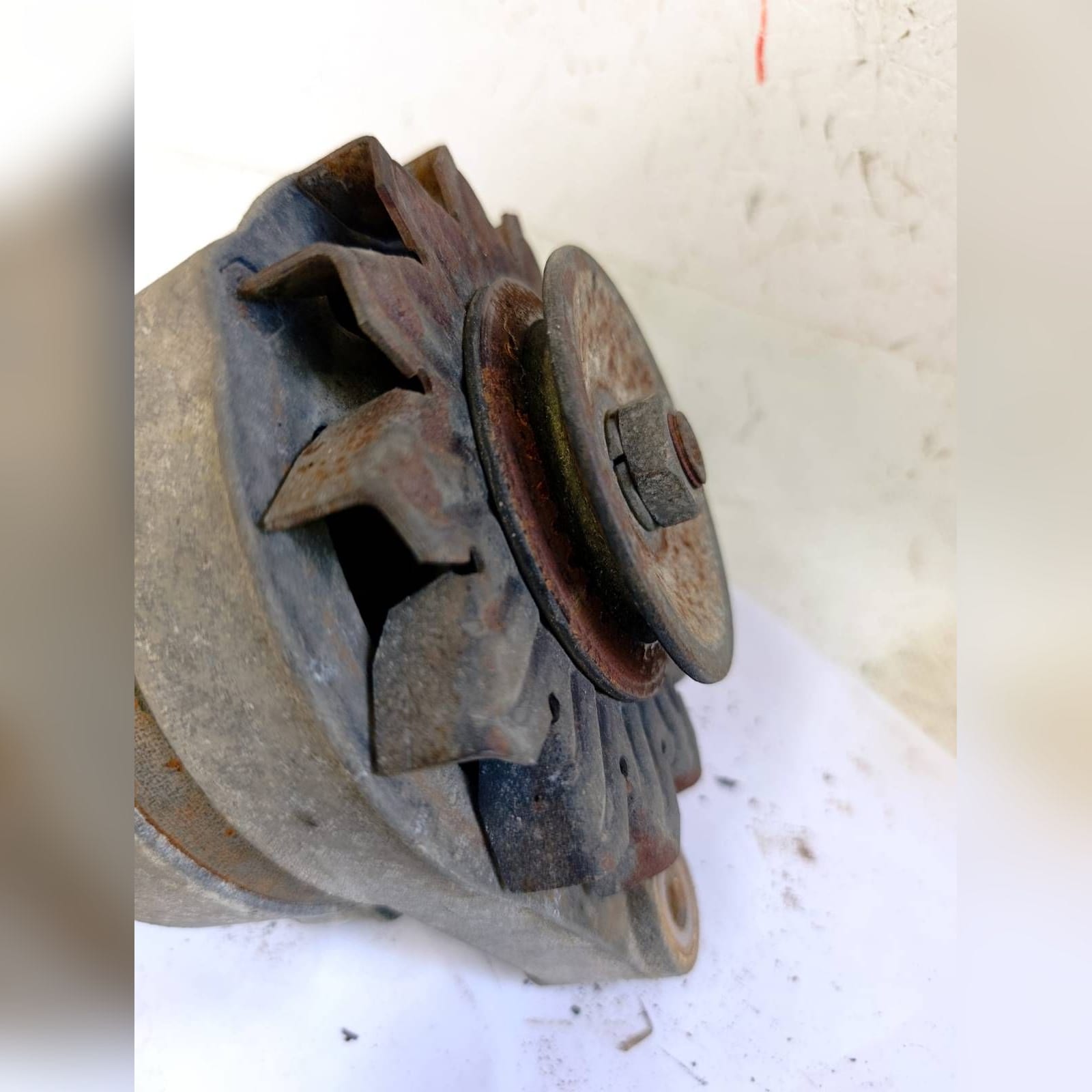 Miniatura 10