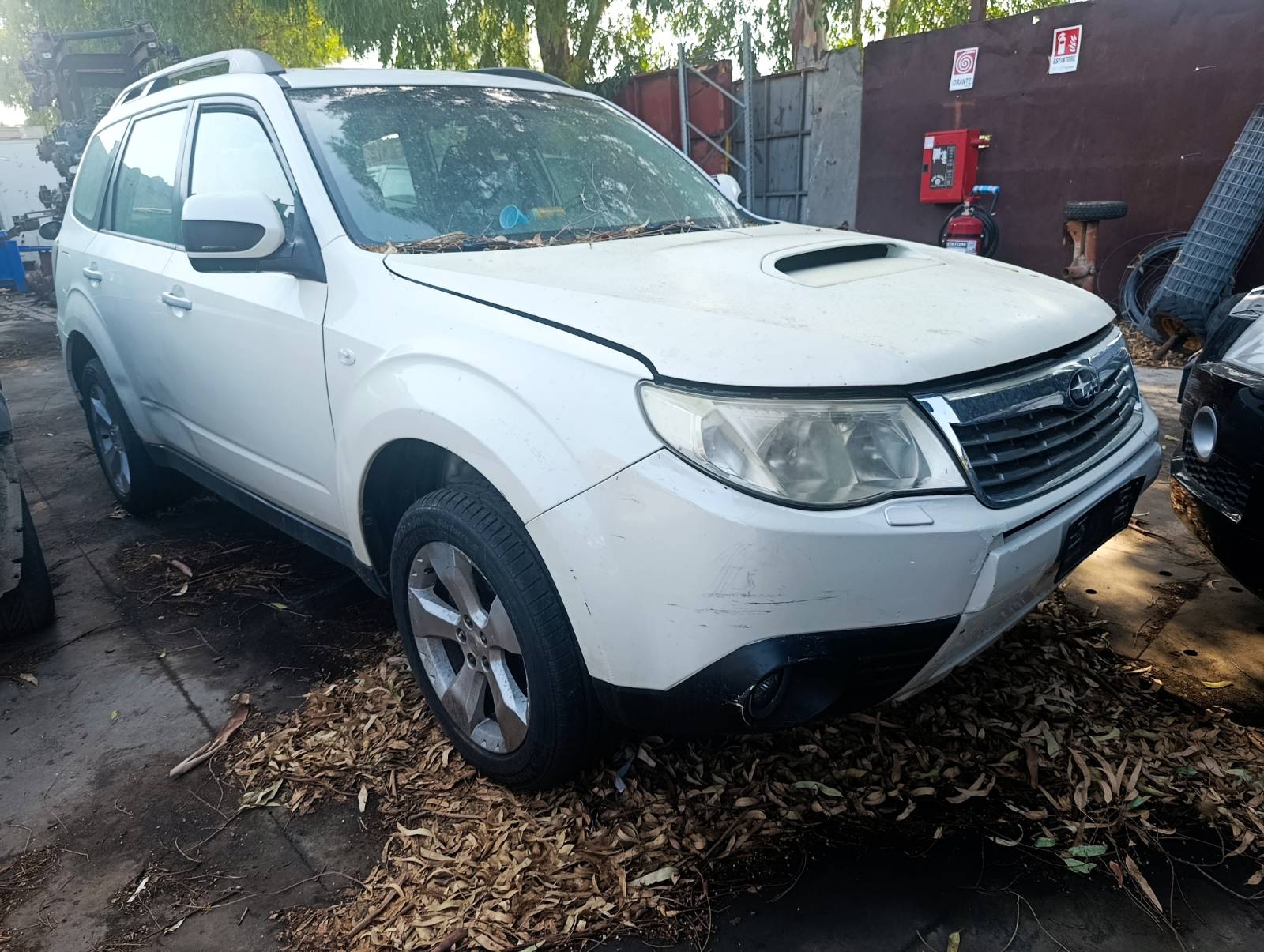 SUBARU FORESTER 3a Serie (04/08>06/13<) 2.0D Suv 5p/d/1998cc